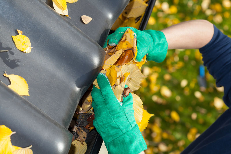 Gutter Cleaning & Brightening