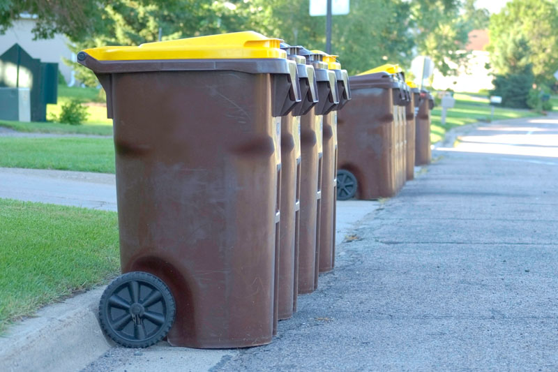 Trash Can Cleaning